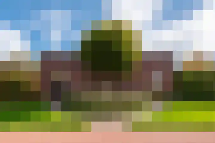 Alver 27 Avenhorn thumbnail 64
