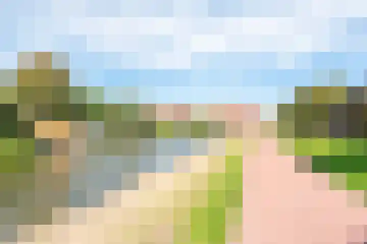 Alver 27 Avenhorn thumbnail 67