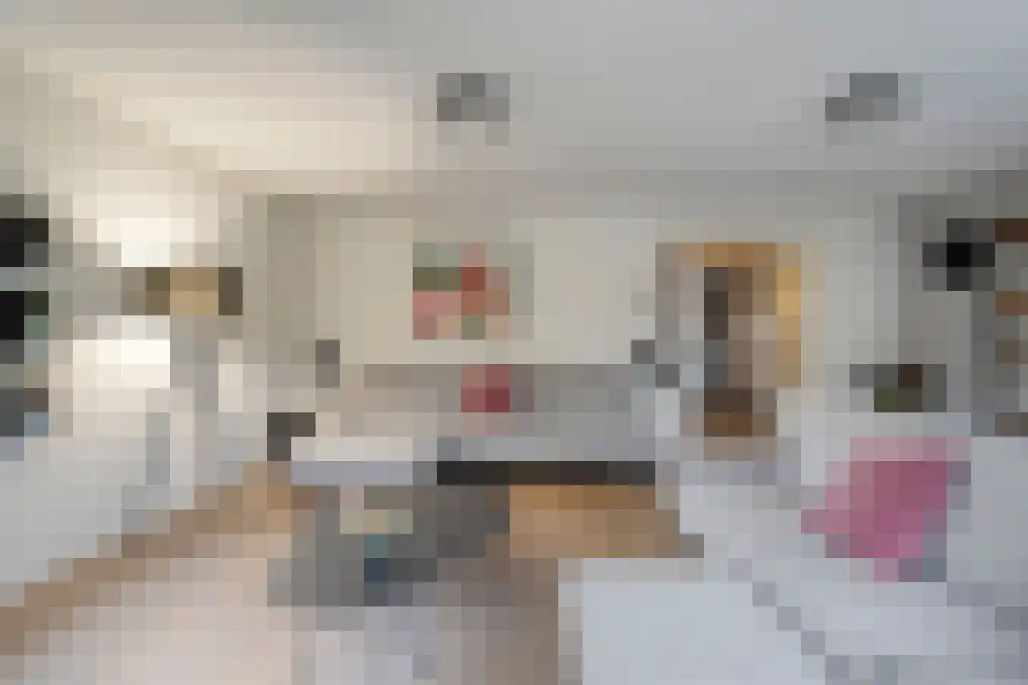 Alver 4 Hoogeveen thumbnail 16