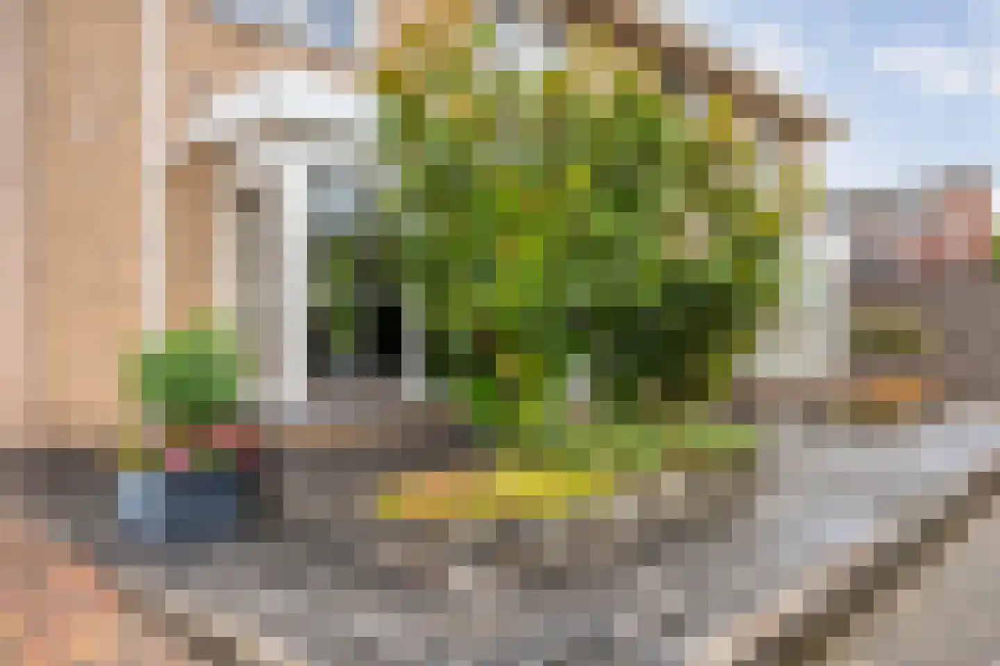 Alver 4 Hoogeveen thumbnail 5