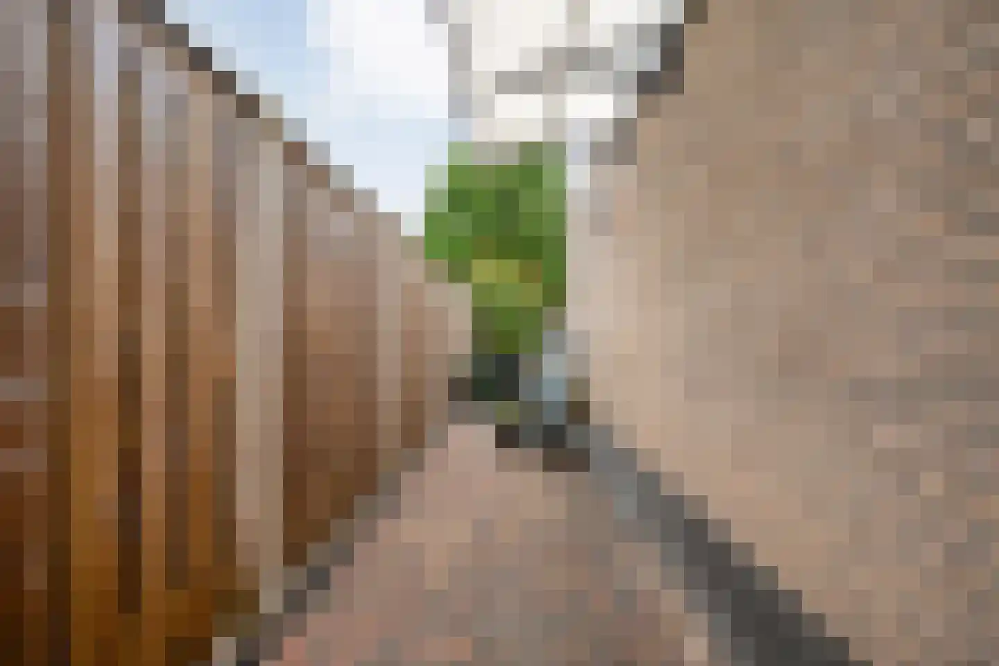 Alver 4 Hoogeveen thumbnail 63