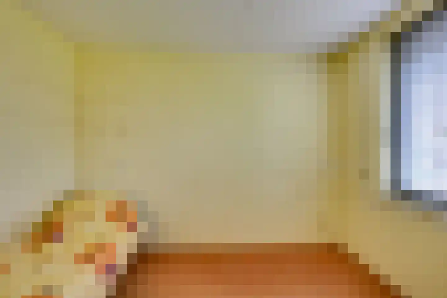 Alver 40 Papendrecht thumbnail 22