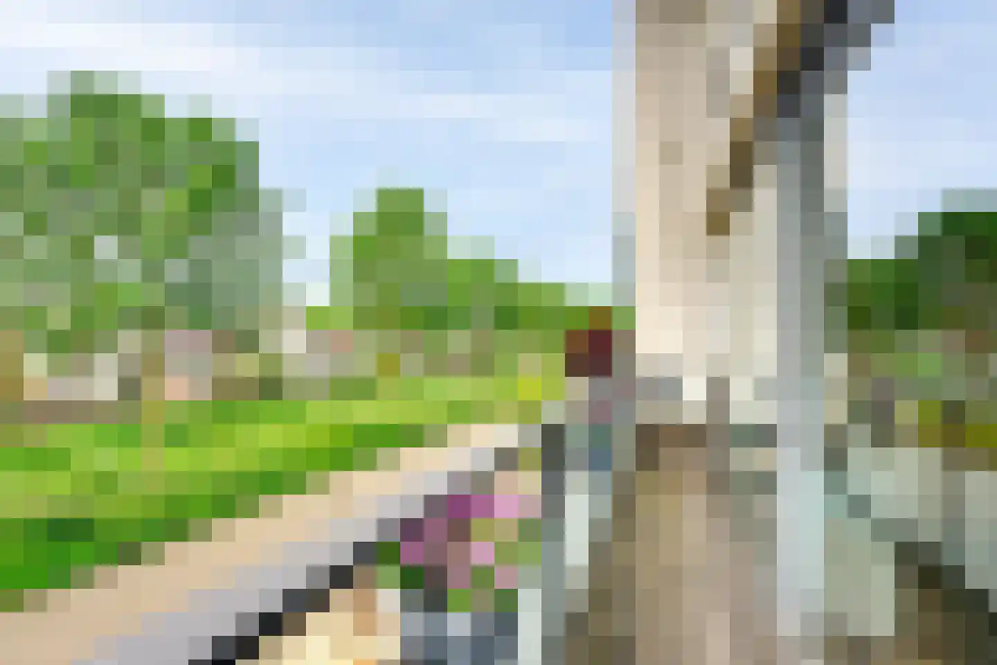 Alver 40 Papendrecht thumbnail 26