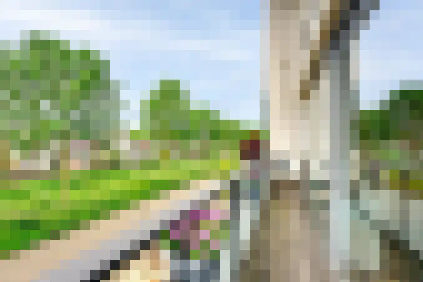 Alver 40 Papendrecht thumbnail 32