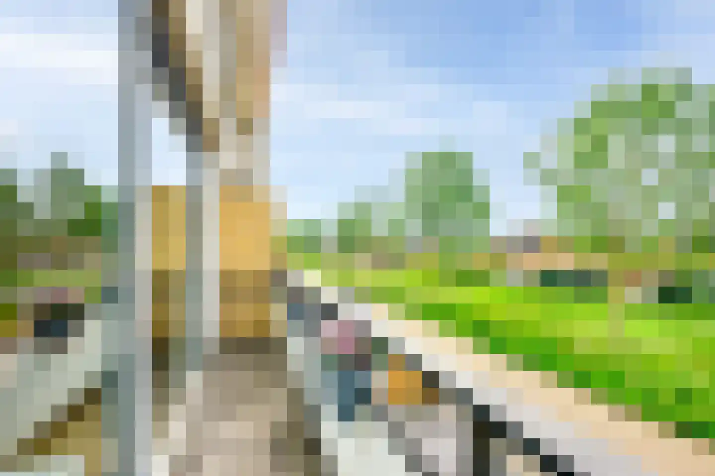 Alver 40 Papendrecht thumbnail 33