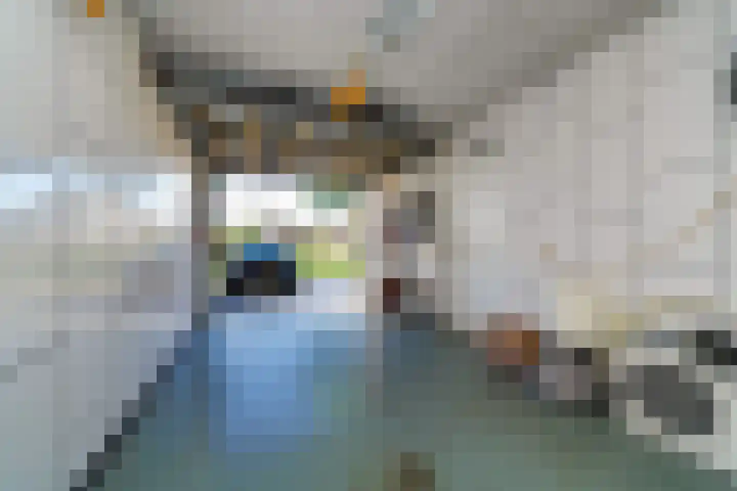 Alver 40 Papendrecht thumbnail 36