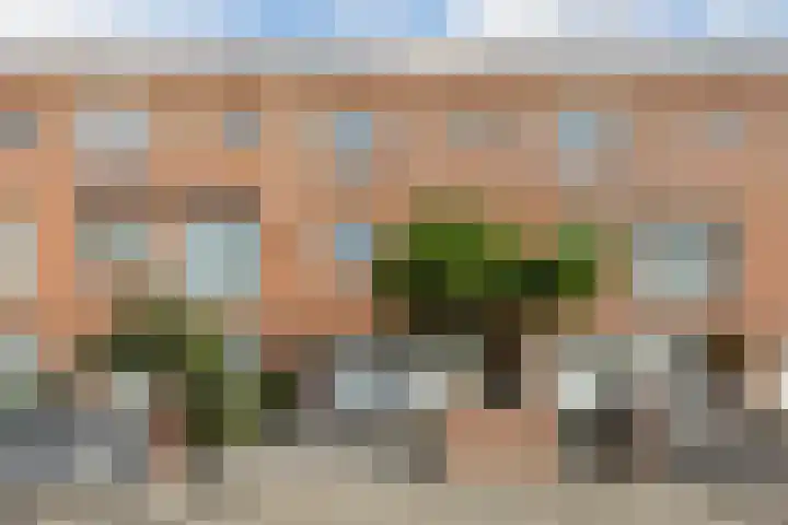 Alver 62 Papendrecht