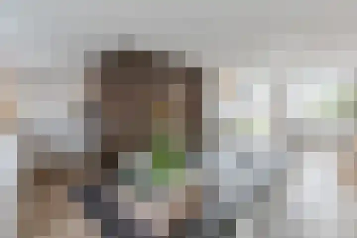 Alver 62 Papendrecht thumbnail 10