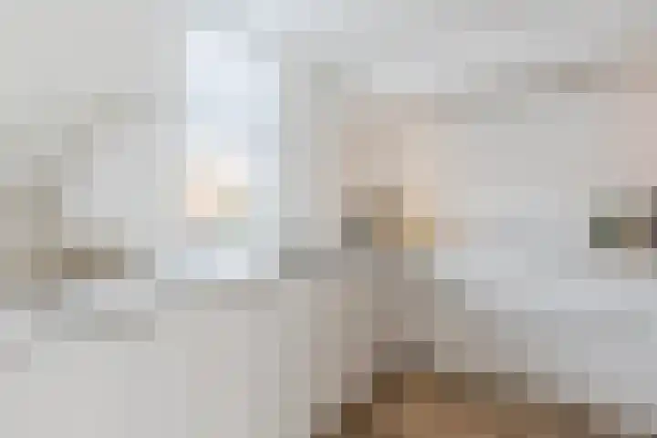 Alver 62 Papendrecht thumbnail 11