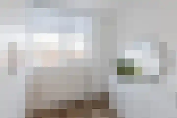 Alver 62 Papendrecht thumbnail 19