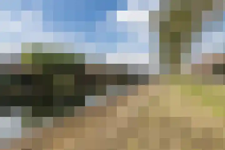 Alver 62 Papendrecht thumbnail 38