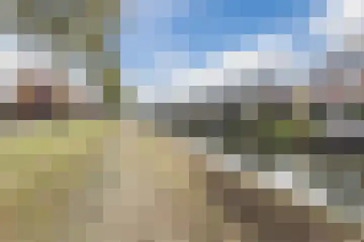 Alver 62 Papendrecht thumbnail 39