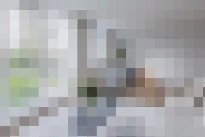 Alver 62 Papendrecht thumbnail 7
