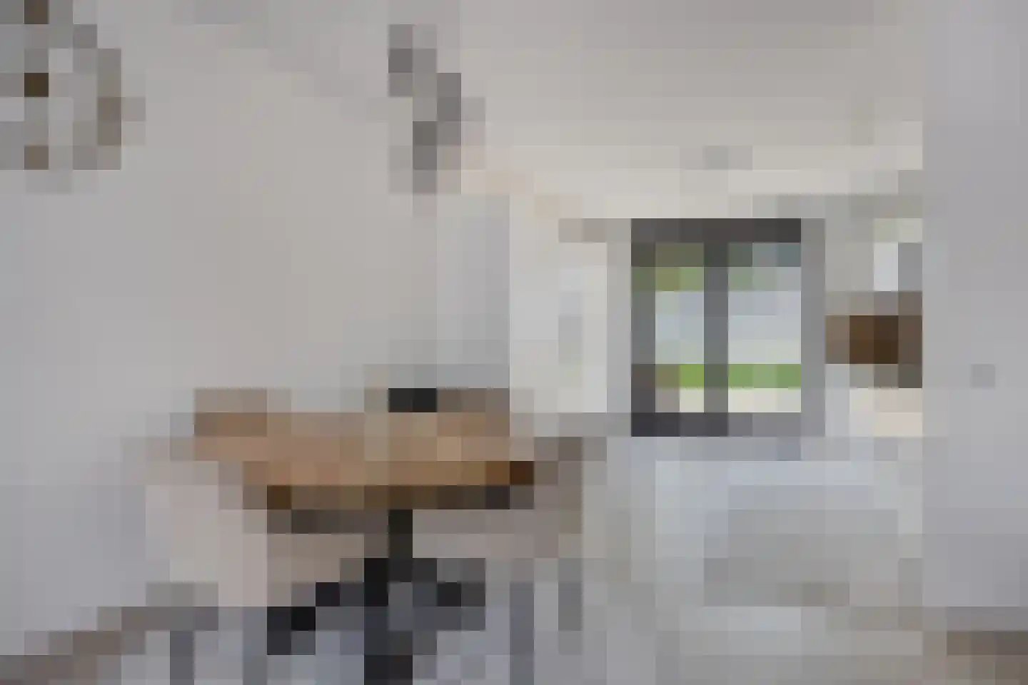 Alver 74 Papendrecht thumbnail 13
