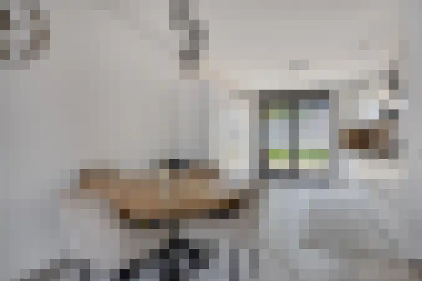Alver 74 Papendrecht thumbnail 14