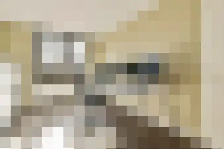 Alver 81 Papendrecht thumbnail 12