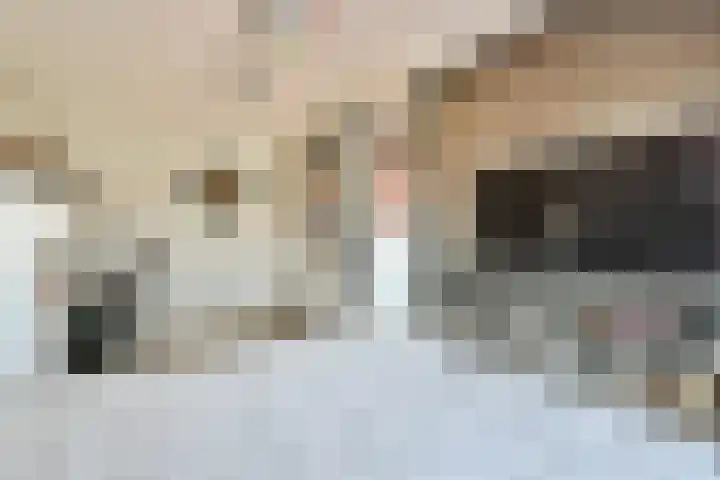 Alver 81 Papendrecht thumbnail 16