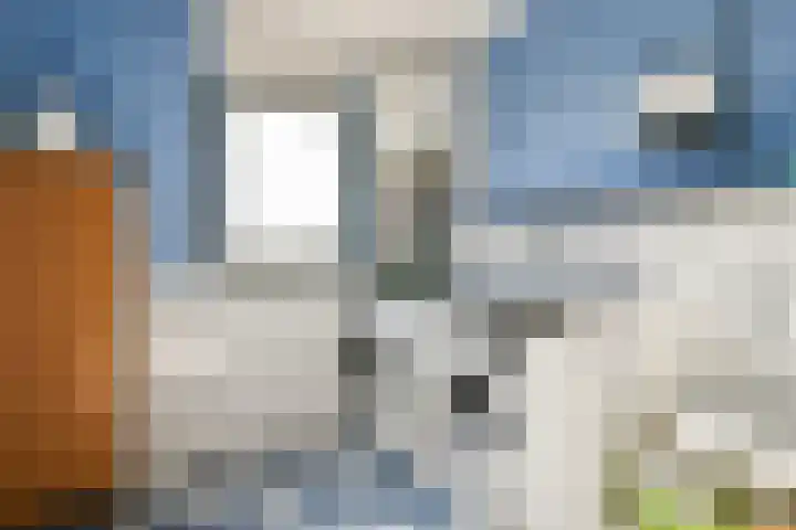 Alver 81 Papendrecht thumbnail 22