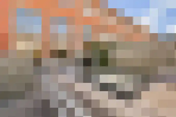 Alver 81 Papendrecht thumbnail 24