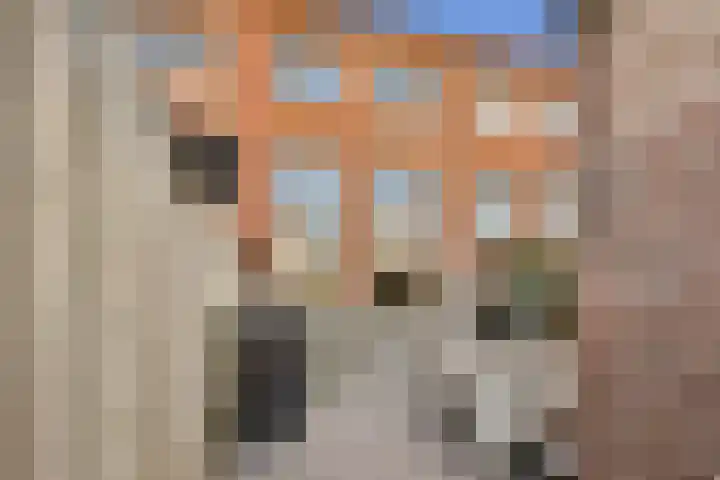 Alver 81 Papendrecht thumbnail 25
