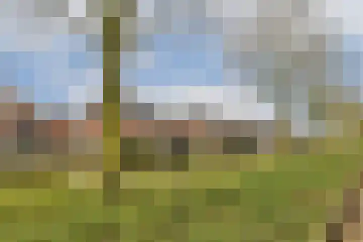Alver 81 Papendrecht thumbnail 28