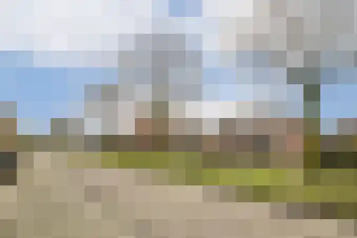 Alver 81 Papendrecht thumbnail 29