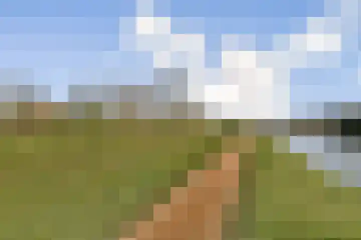 Alver 81 Papendrecht thumbnail 30