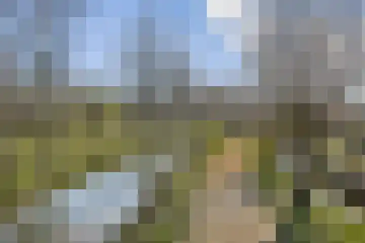 Alver 81 Papendrecht thumbnail 31