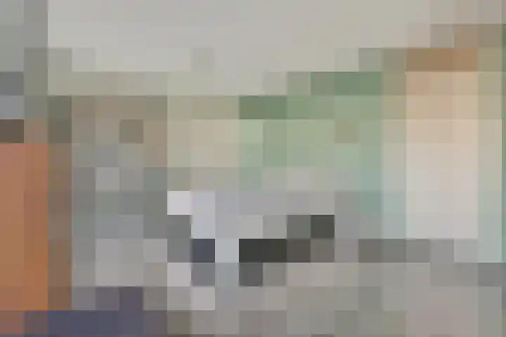 Alver 81 Papendrecht thumbnail 8