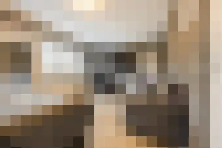 Alver 9 Papendrecht thumbnail 13