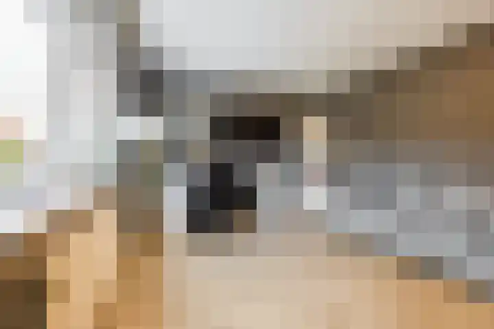 Alver 9 Papendrecht thumbnail 14