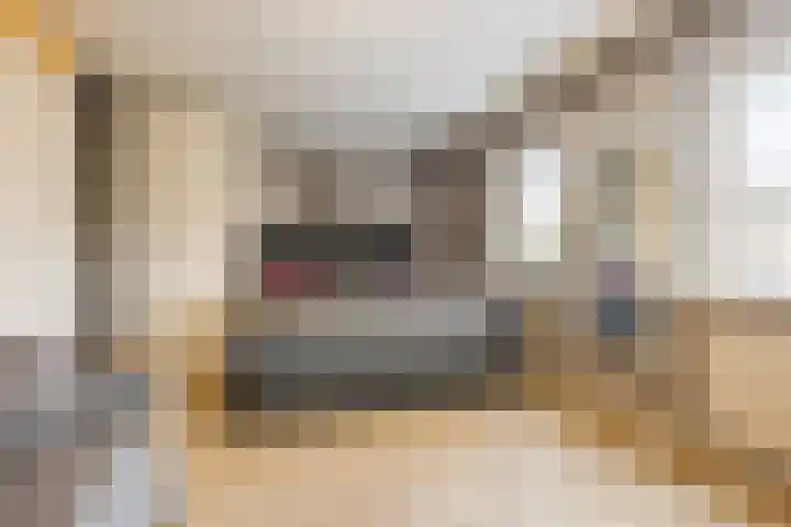 Alver 9 Papendrecht thumbnail 15