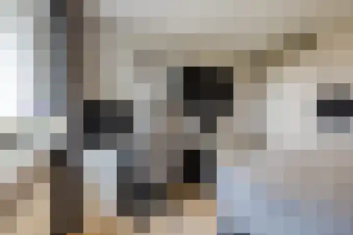 Alver 9 Papendrecht thumbnail 17