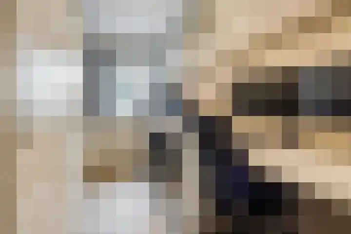 Alver 9 Papendrecht thumbnail 18