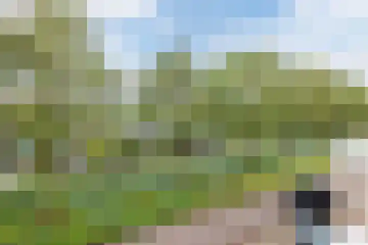 Alver 9 Papendrecht thumbnail 30