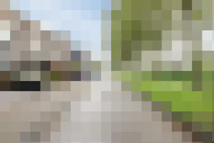 Alver 9 Papendrecht thumbnail 37