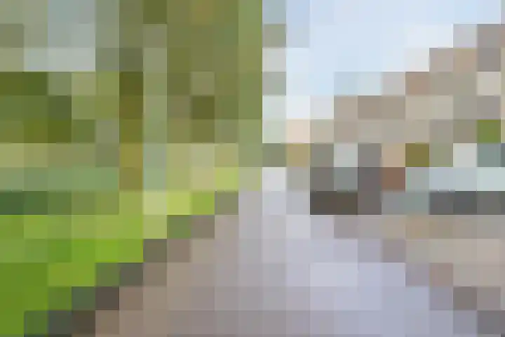 Alver 9 Papendrecht thumbnail 38