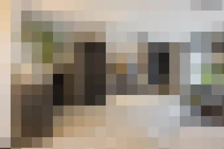 Alver 9 Papendrecht thumbnail 4