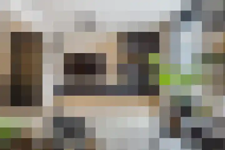 Alver 9 Papendrecht thumbnail 5