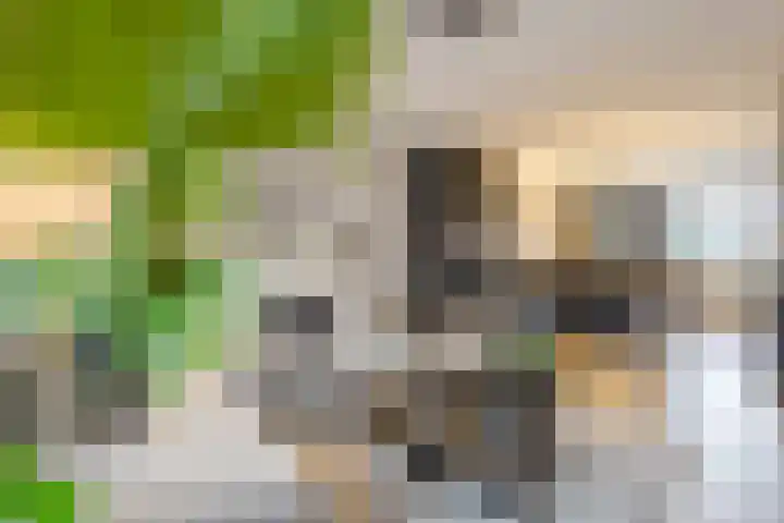 Alver 9 Papendrecht thumbnail 6