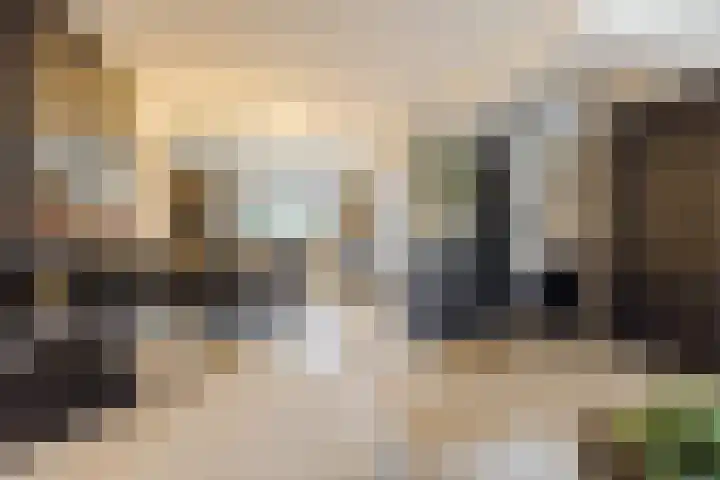 Alver 9 Papendrecht thumbnail 7