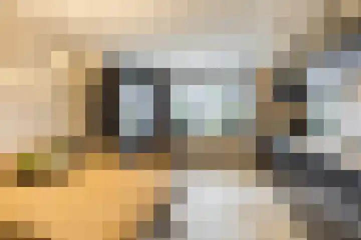 Alver 9 Papendrecht thumbnail 8