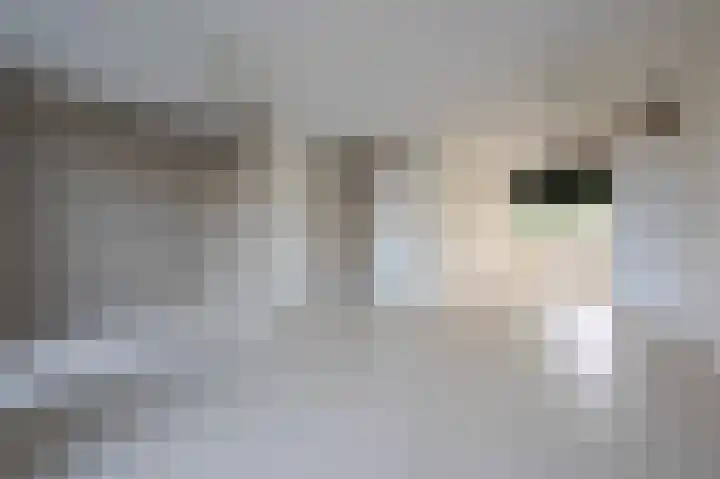 Alverno 12 Oudenbosch thumbnail 11