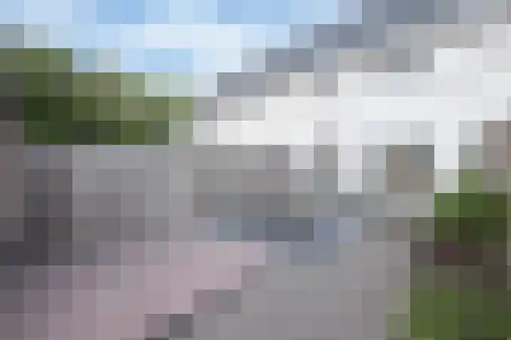 Alverno 12 Oudenbosch thumbnail 18