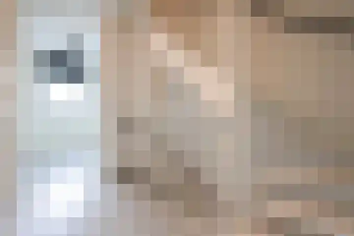 Alverno 12 Oudenbosch thumbnail 21
