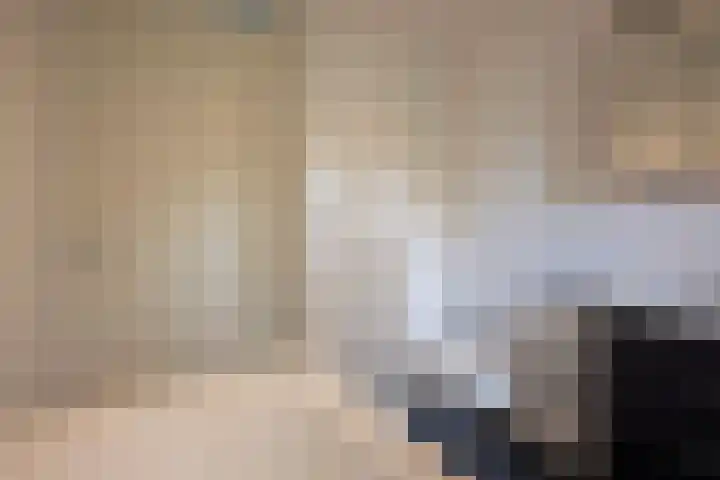 Alverno 12 Oudenbosch thumbnail 25