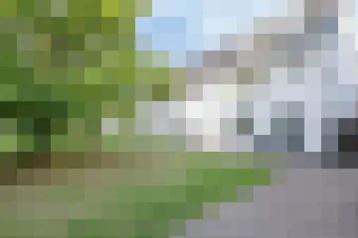 Alverno 12 Oudenbosch thumbnail 4
