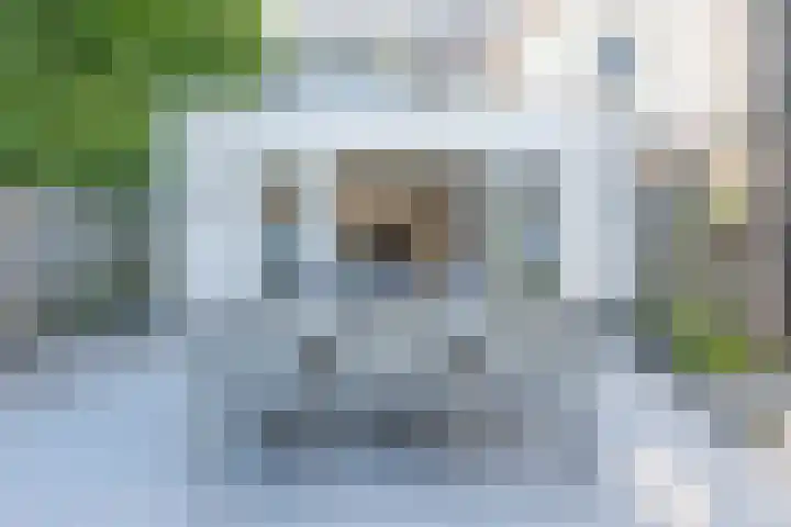 Alverno 16 Oudenbosch thumbnail 24
