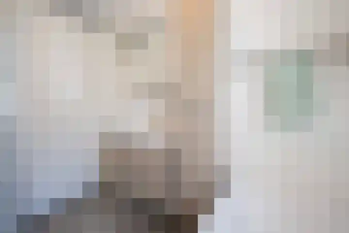Alverno 16 Oudenbosch thumbnail 33