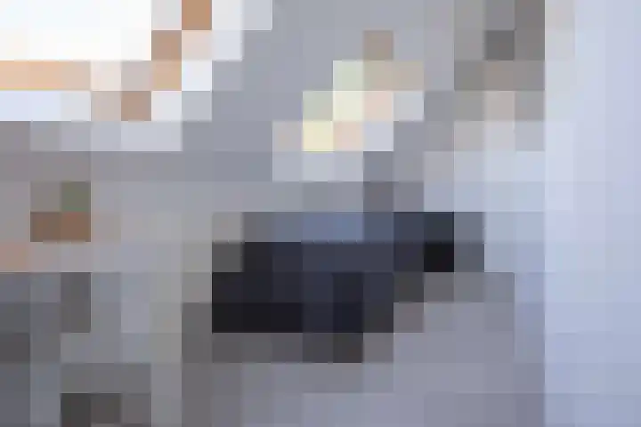 Alverno 16 Oudenbosch thumbnail 48
